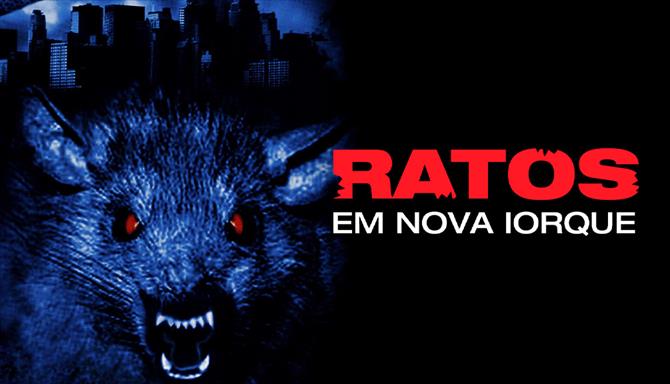 Ratos em Nova Iorque