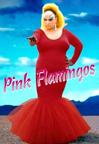 Pink Flamingos