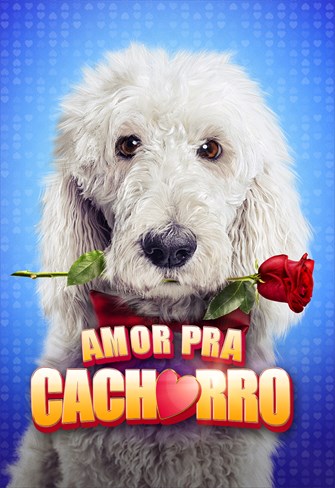 Amor Pra Cachorro