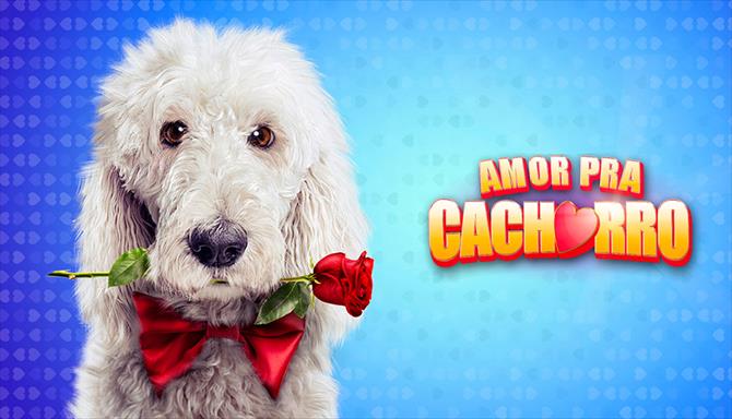 Amor Pra Cachorro