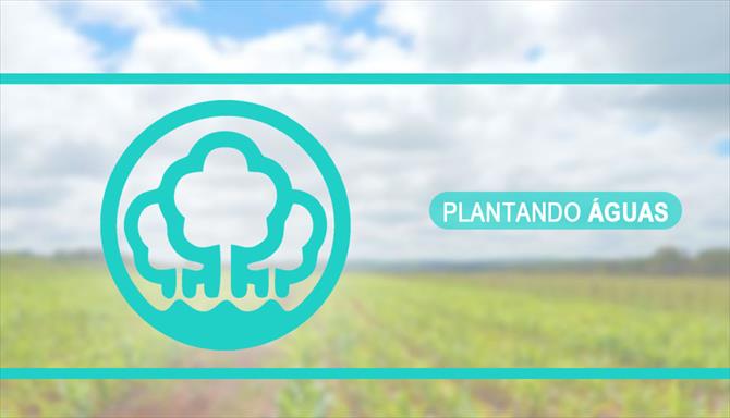 Plantando Águas