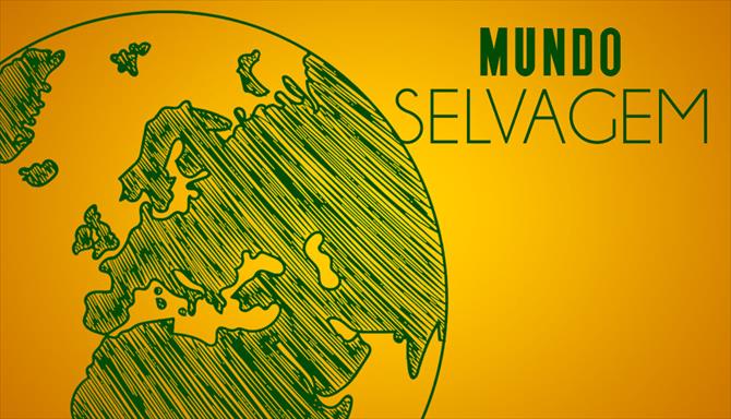 Mundo Selvagem