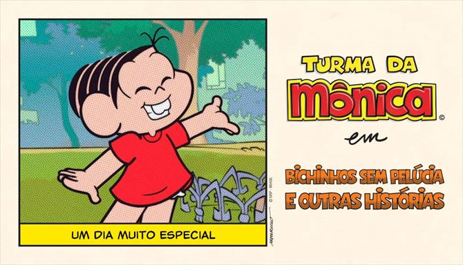 Bichinhos Sem Pelúcia e Outras Histórias - Um Dia Muito Especial