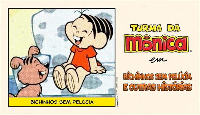 Bichinhos Sem Pelúcia e Outras Histórias - Bichinhos Sem Pelúcia