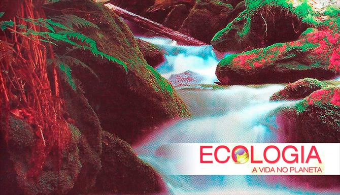 Ecologia - A Vida no Planeta