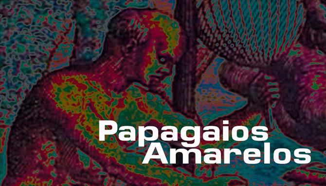 Papagaios Amarelos