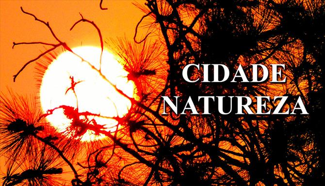 Cidade Natureza