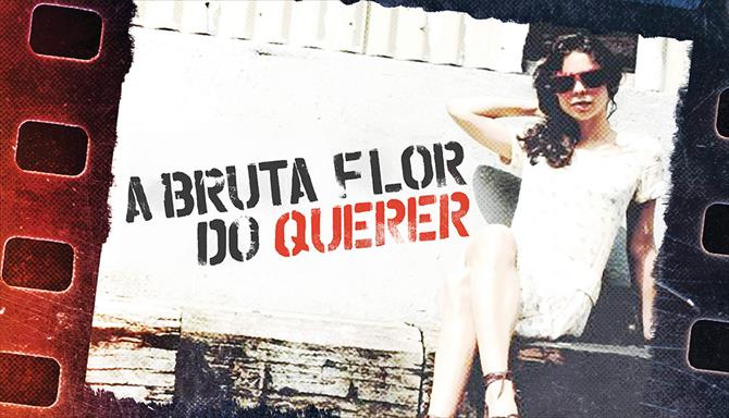 A Bruta Flor do Querer