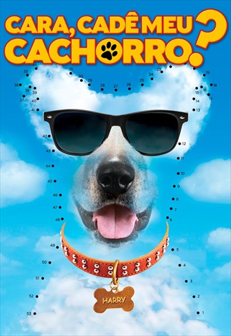 Cara, Cadê meu Cachorro?