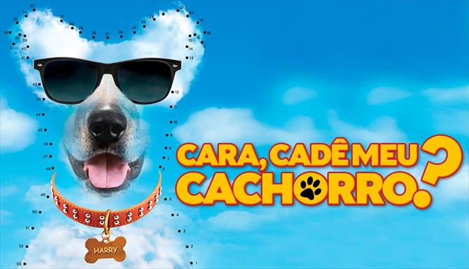 Cara, Cadê meu Cachorro?