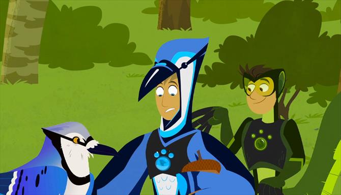 Wild Kratts - 1ª Temporada - Ep. 20 - Azul e o Cinzento