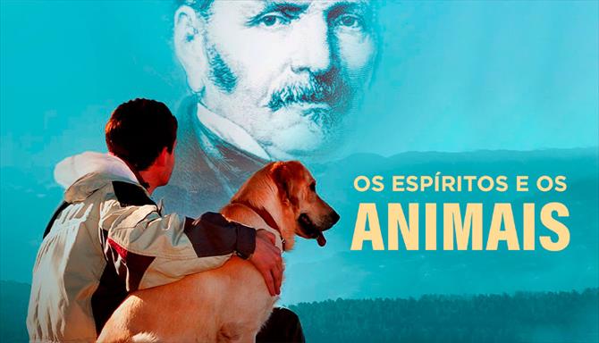 Os Espíritos e os Animais - Ep. 15 - O Livro dos Espíritos - Item de 557 - Benção e Maldições