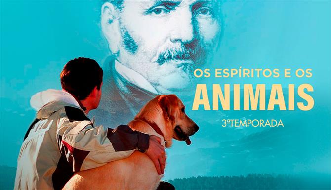 Os Espíritos e os Animais - Ep. 19 - O Livro dos Espíritos - Itens de 592 a 600 - Os Animais e o Homem