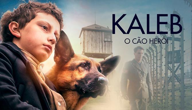 Kaleb - O Cão Herói