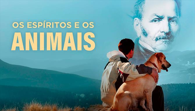 Os Espíritos e os Animais