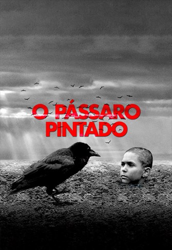 O Pássaro Pintado