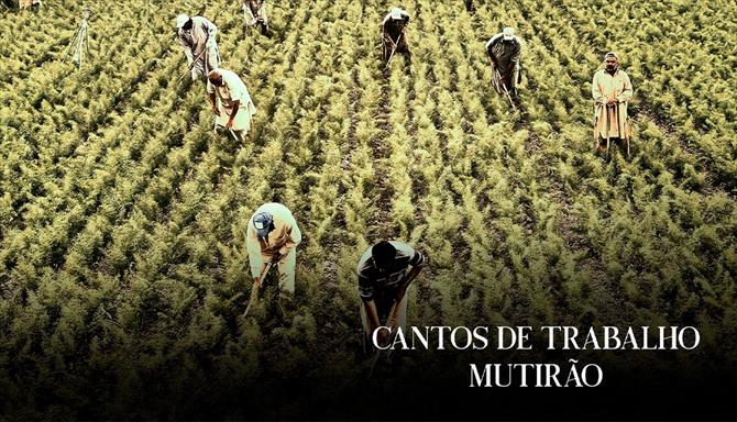 Cantos de Trabalho - Mutirão