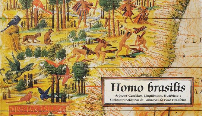 Homo Brasilis