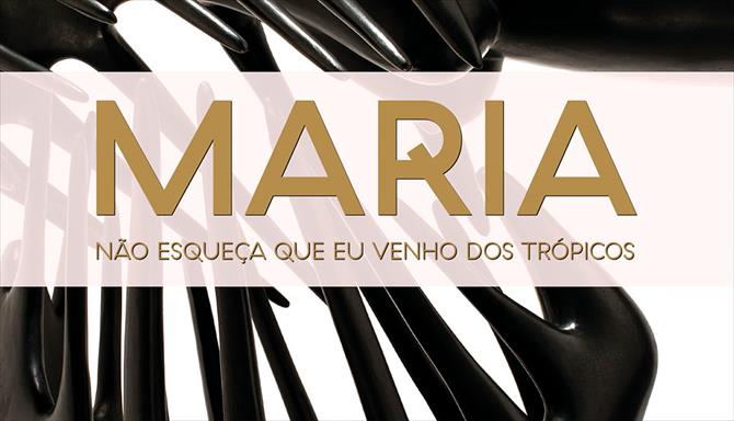 Maria, Não Esqueça que Venho dos Trópicos