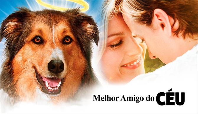 Melhor Amigo do Céu