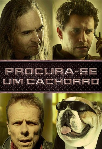 Procura-se um Cachorro