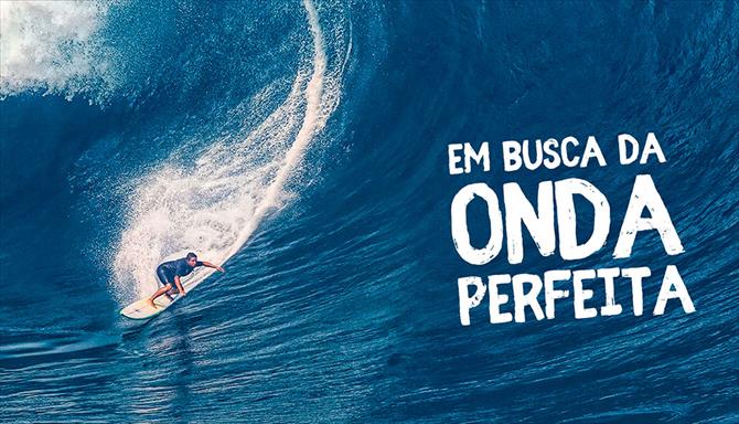 Em Busca da Onda Perfeita