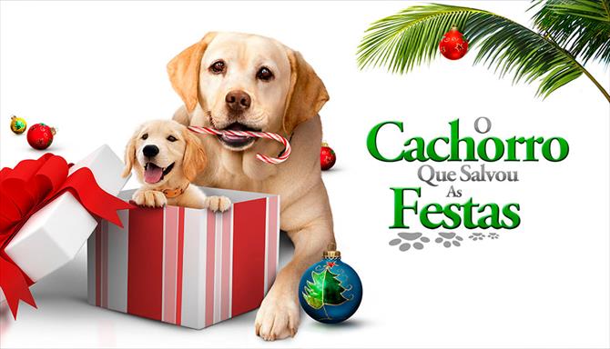 O Cachorro Que Salvou as Festas