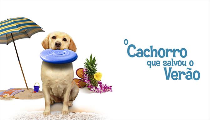 O Cachorro que Salvou o Verão