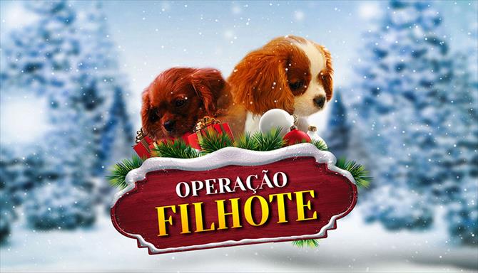 Operação Filhote