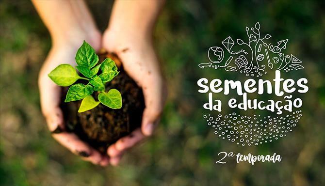 Sementes da Educação - 2ª Temporada