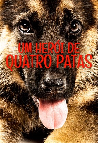 Um Herói de Quatro Patas