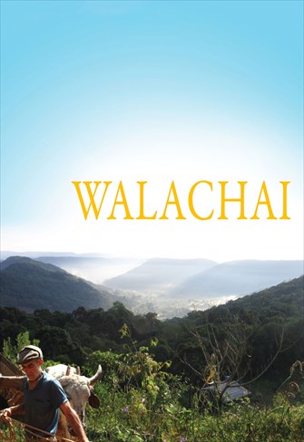 Walachai