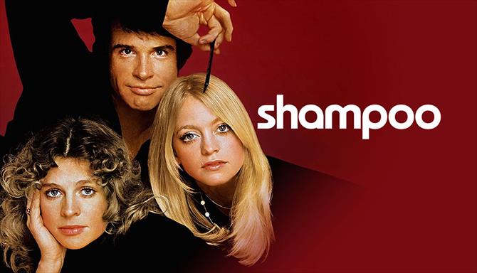 Shampoo