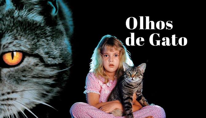 Olhos de Gato