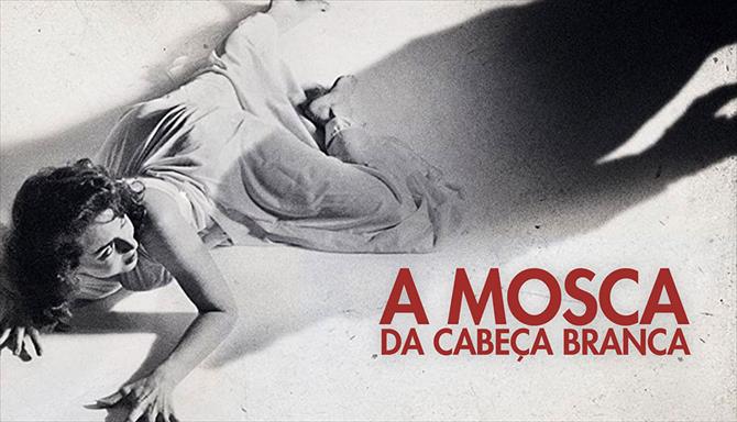 A Mosca da Cabeça Branca