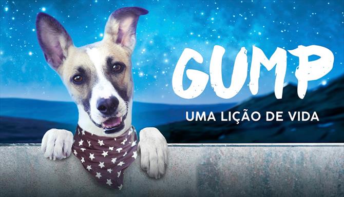 Gump - Uma Lição de Vida