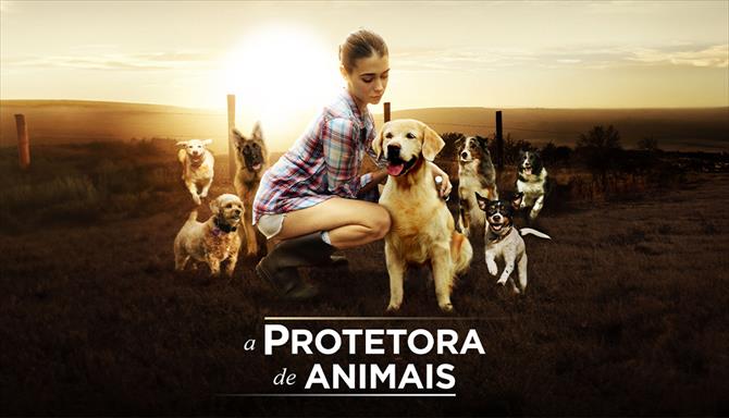 A Protetora de Animais