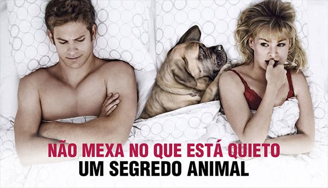 Não Mexa no Que Está Quieto - Um Segredo Animal