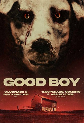 Good Boy