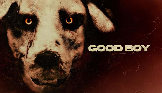 Good Boy