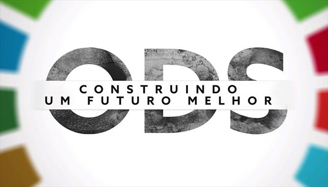 ODS: Construindo um Futuro Melhor