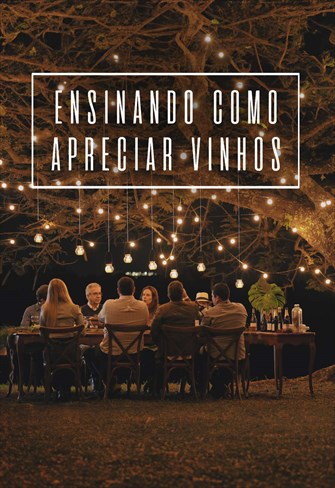 Ensinando Como Apreciar Vinhos