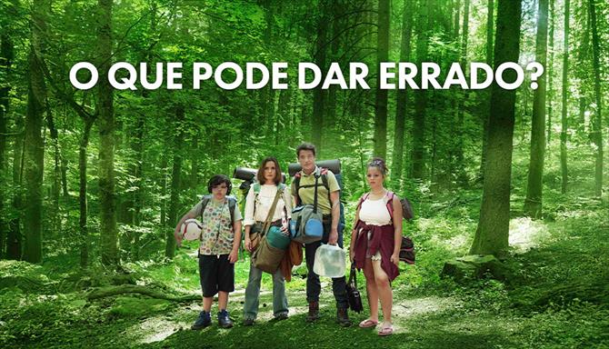 O Que Pode Dar Errado?