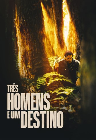 Três Homens e um Destino