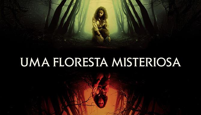 Uma Floresta Misteriosa
