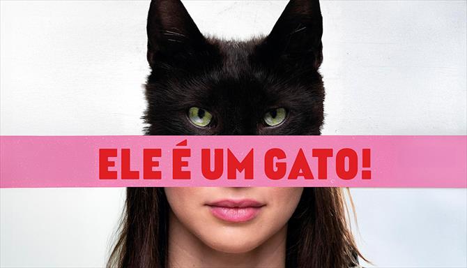 Ele é Um Gato!