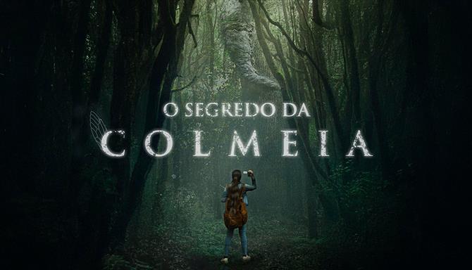 O Segredo da Colmeia