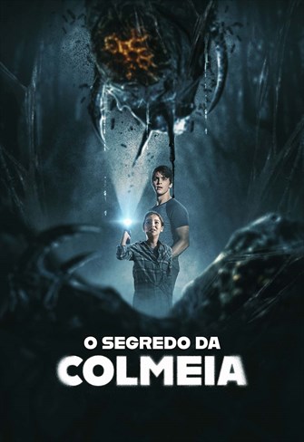 O Segredo da Colmeia