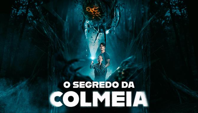 O Segredo da Colmeia