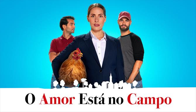 O Amor Está no Campo
